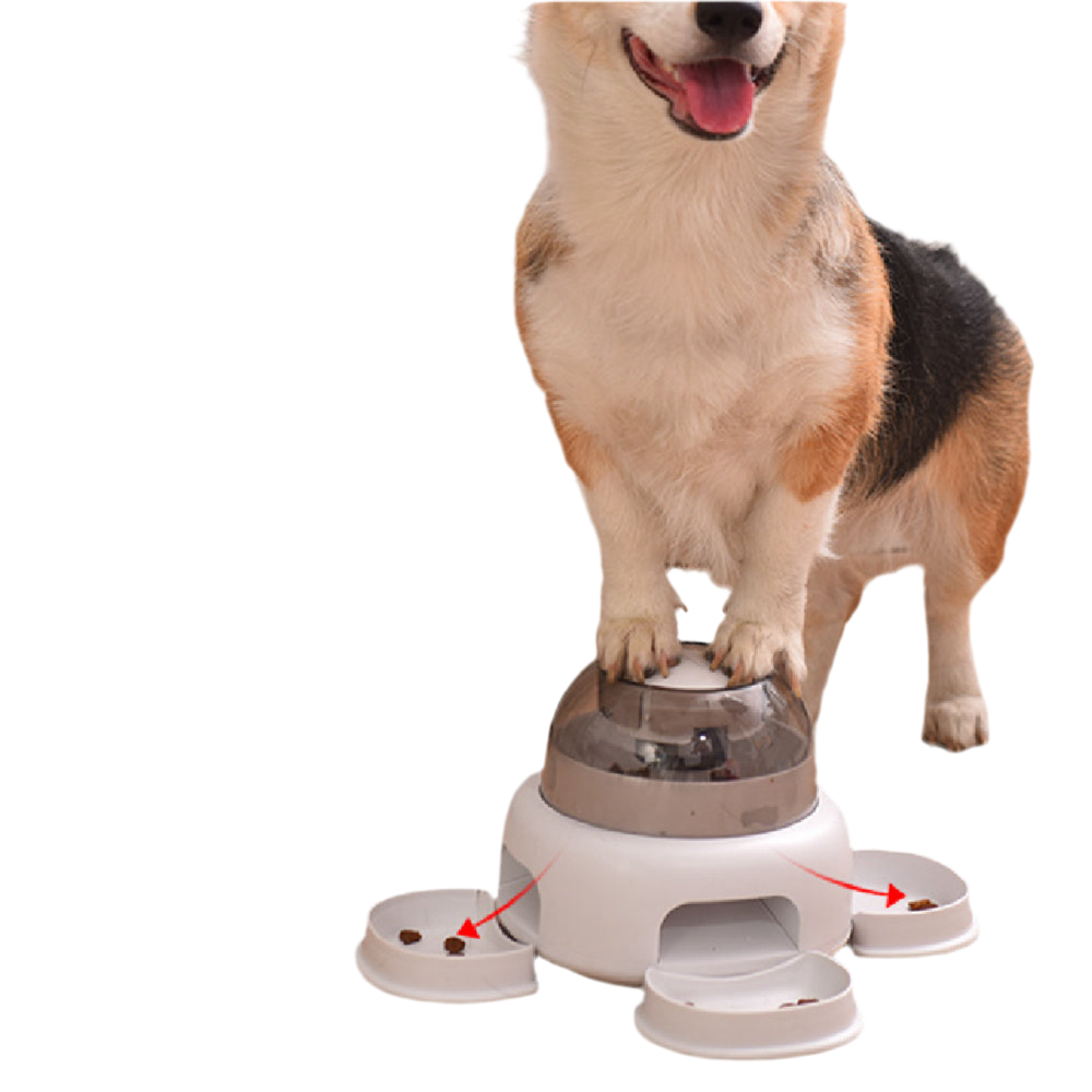 Automatic Pet Feeder