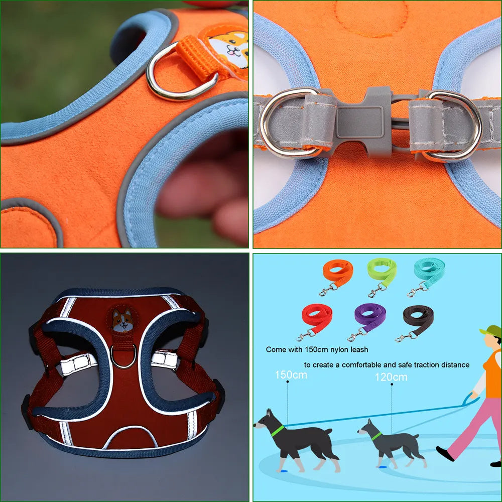 Pet Dog Harness And Leash