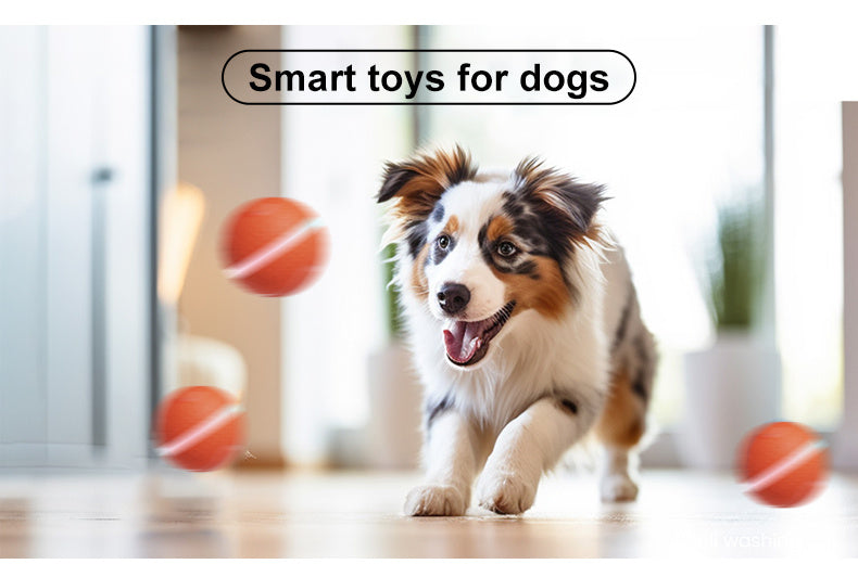 ZapBall – Electric Toy for Energetic Dogs