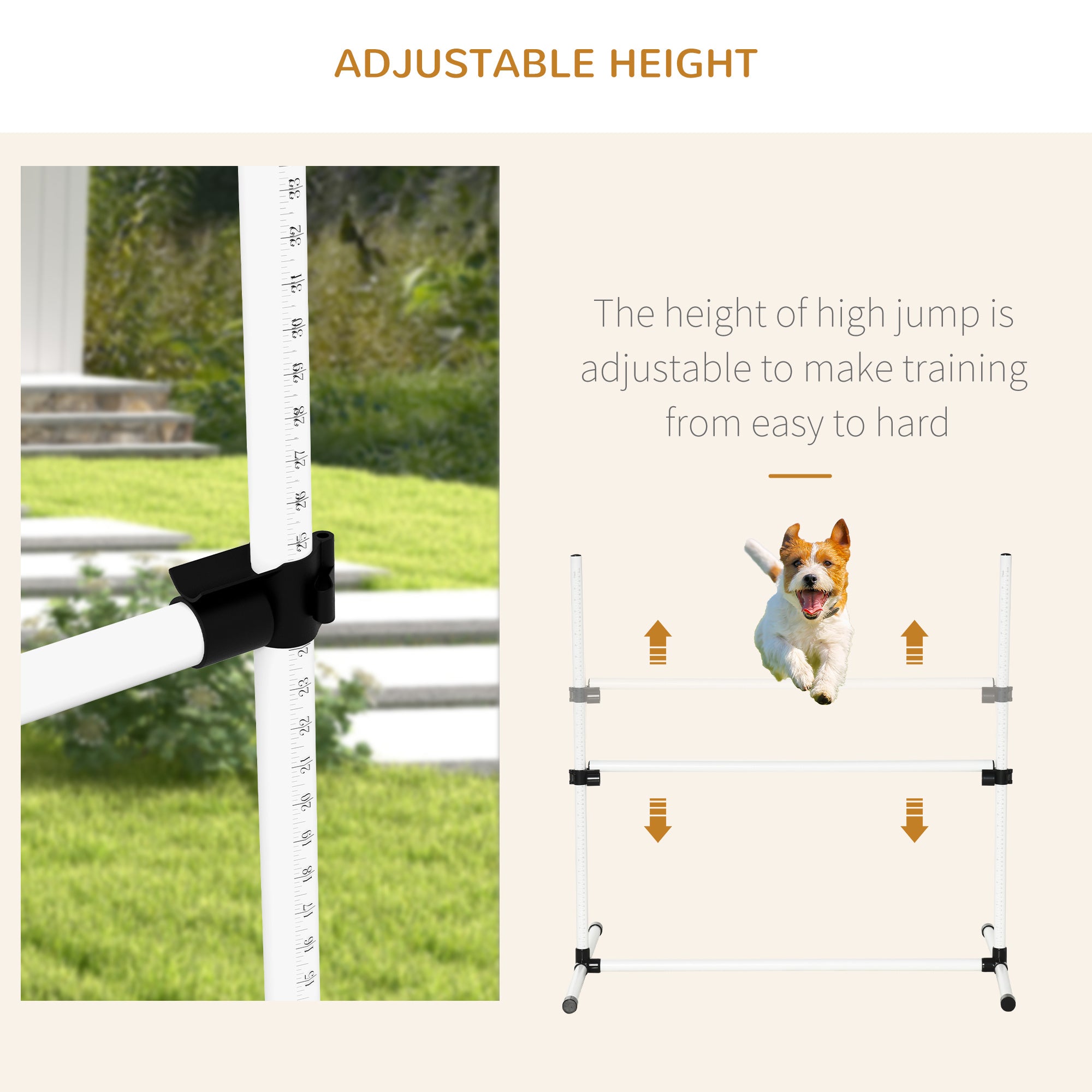 AgiliSet – 4-Piece Training Kit for Active Dogs