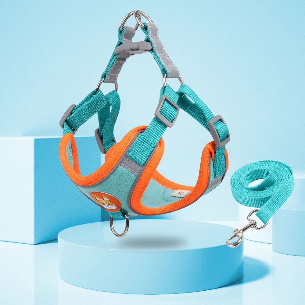 Pet Dog Harness And Leash