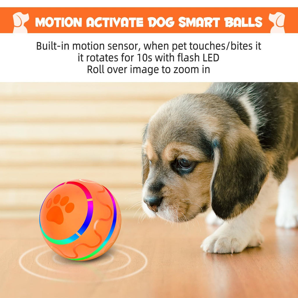 BallyZap – Interactive Electric Ball for Dogs