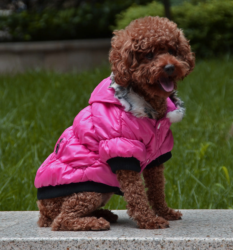 ZipCozy – Padded Cotton Jacket for Pets