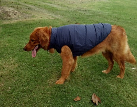 PupShield – Warm & Waterproof Outdoor Jacket