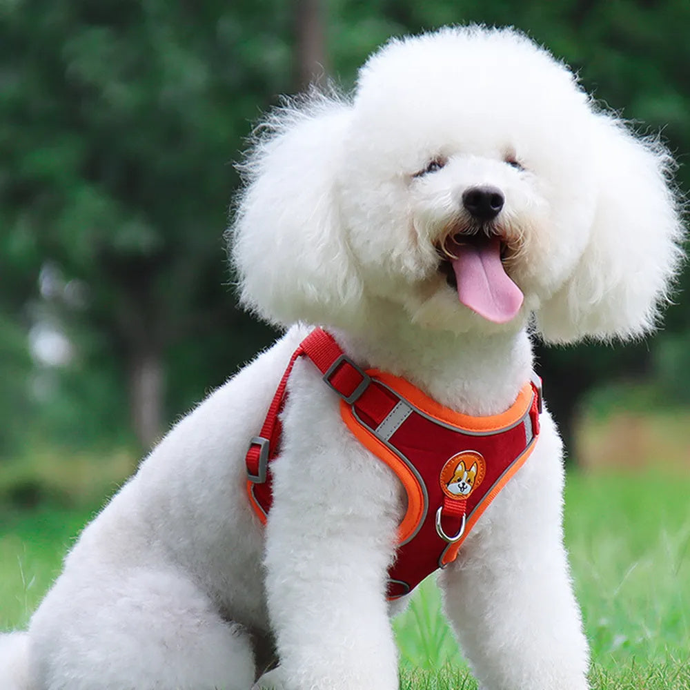 Pet Dog Harness And Leash