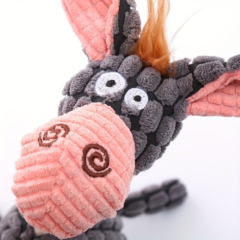 Franky the Donkey