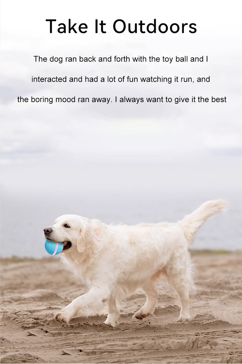 ZapBall – Electric Toy for Energetic Dogs