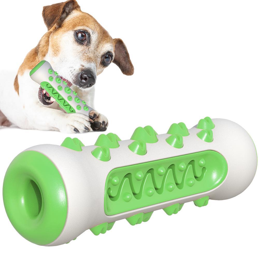 Tough Chew Buddy – Squeaky Toy