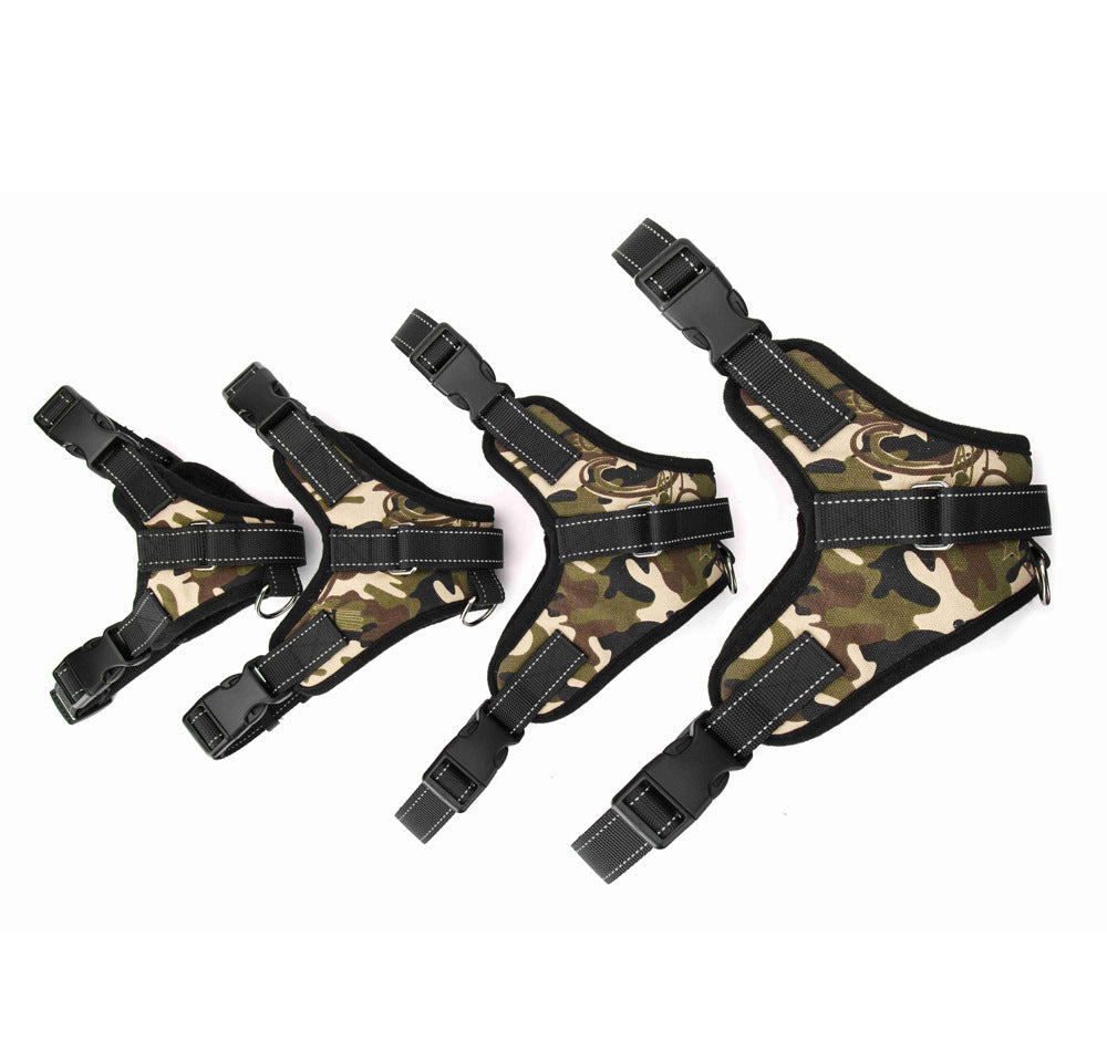 TailTag – Collar for Medium & Large Dogs