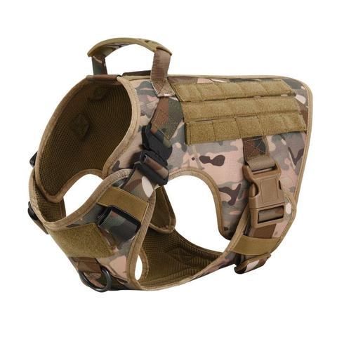 Military Tactical Dog