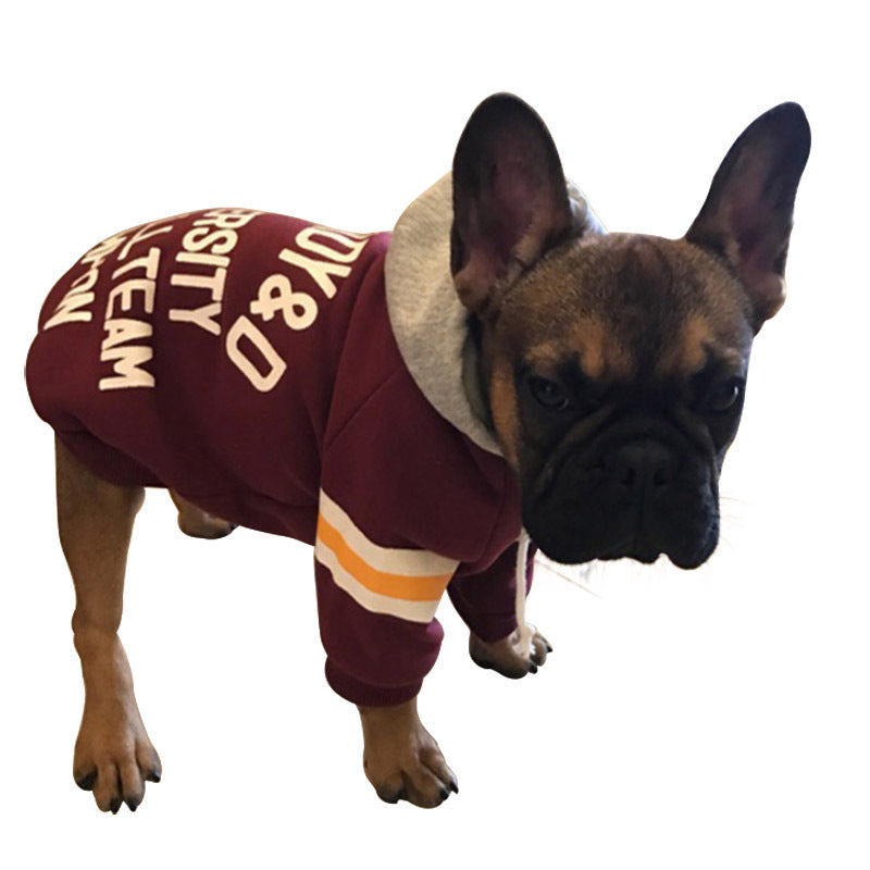 SnuggleKnit – Cozy Sweater for Pets