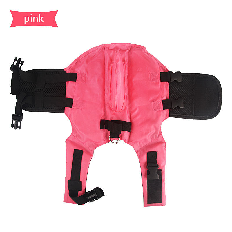 SharkPup – Summer Life Vest for Water Dogs