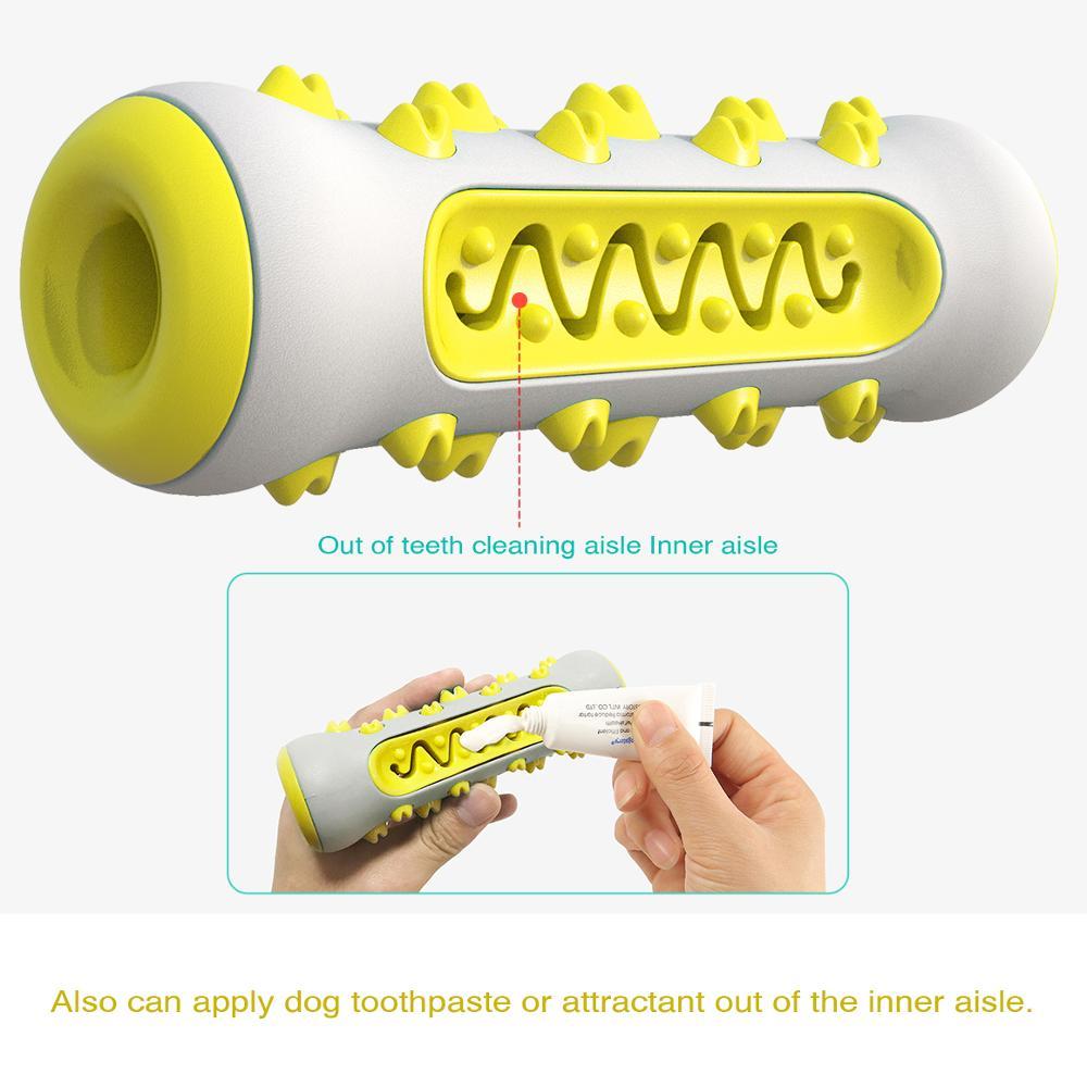 Tough Chew Buddy – Squeaky Toy