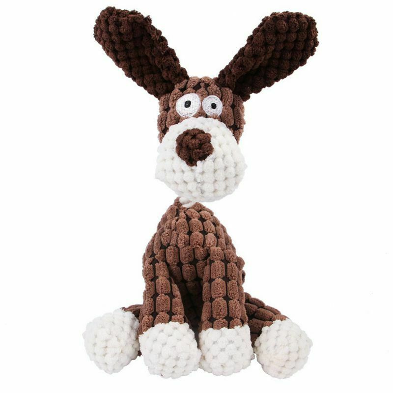 Franky the Donkey