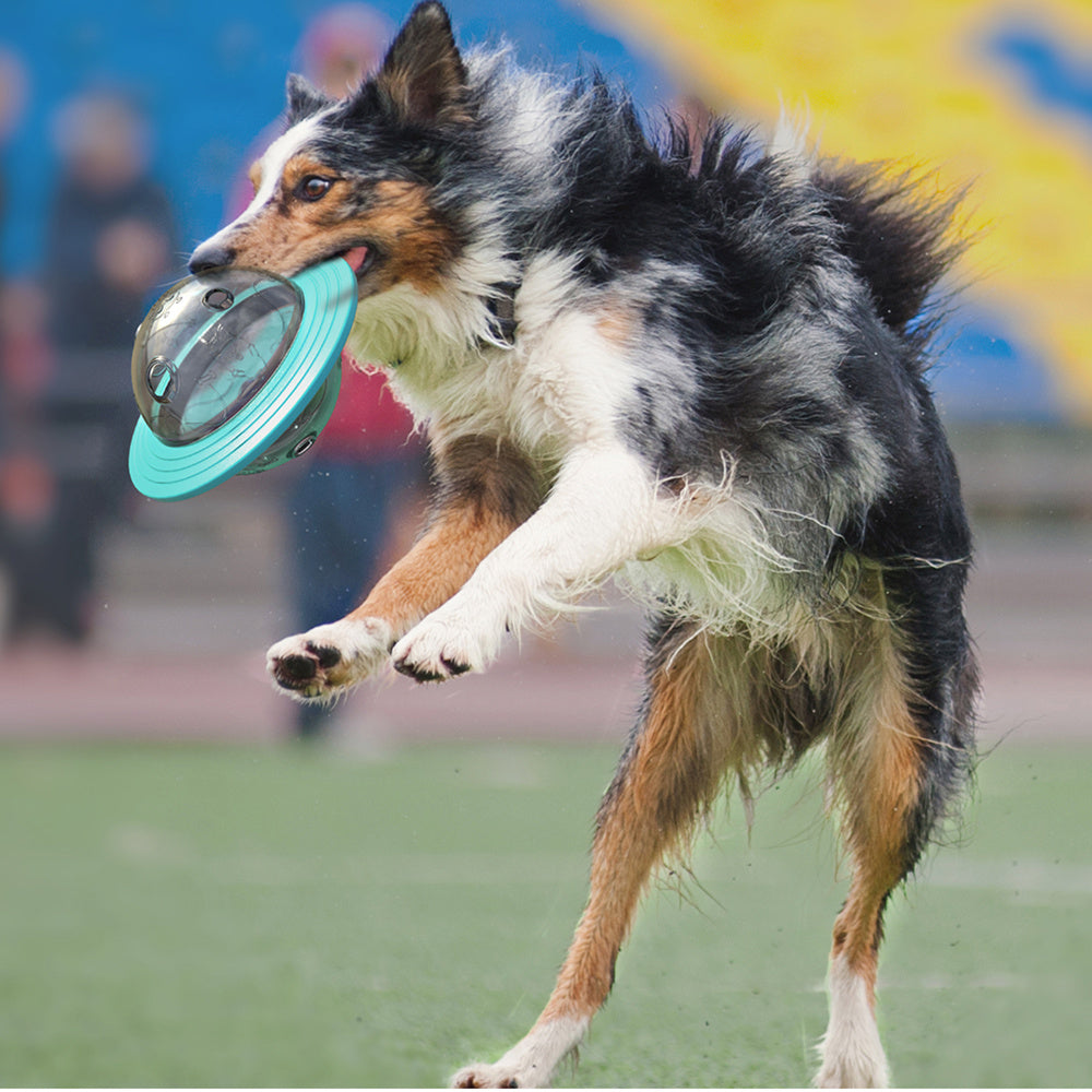 Dispensing Treat Ball