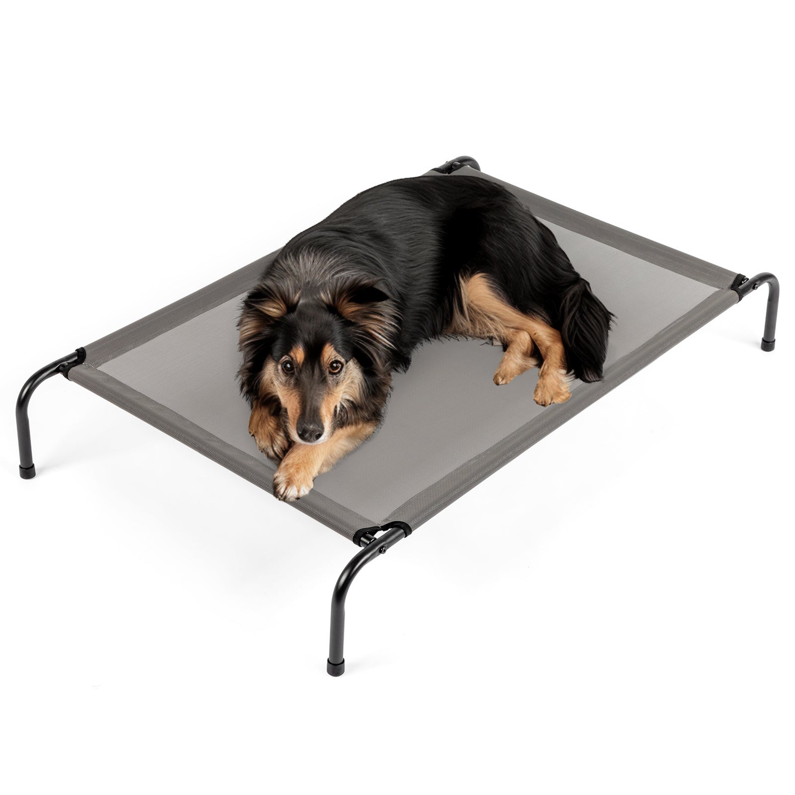 Nap Time – Comfy Beds for Happy Pets