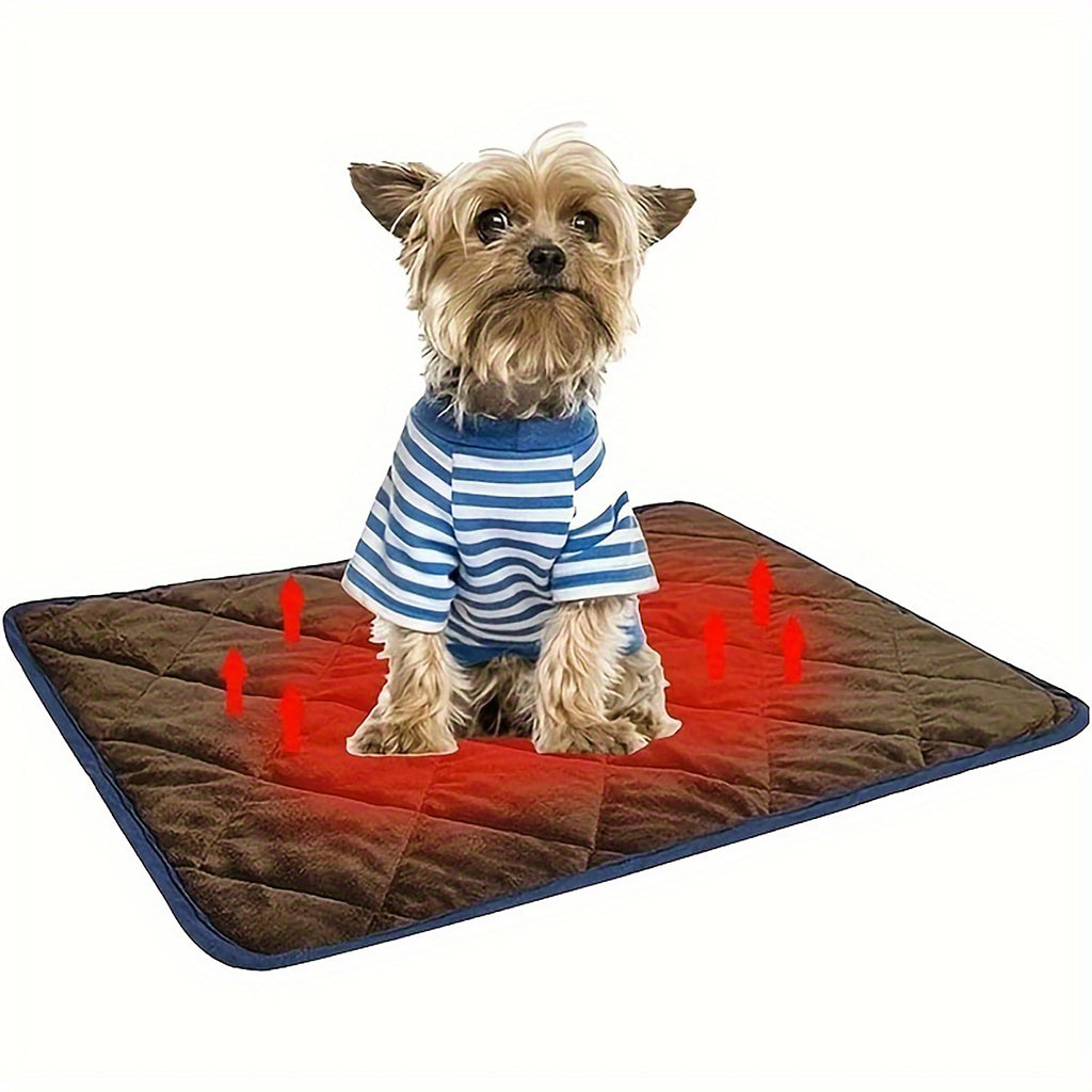 PupNest – Comfy Bed for Restful Naps