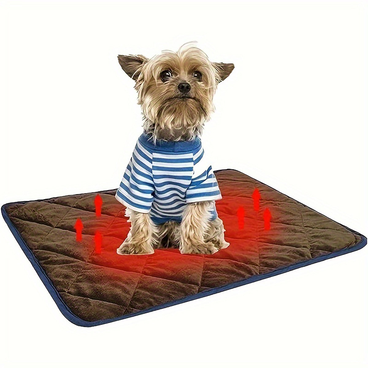 PupNest – Comfy Bed for Restful Naps