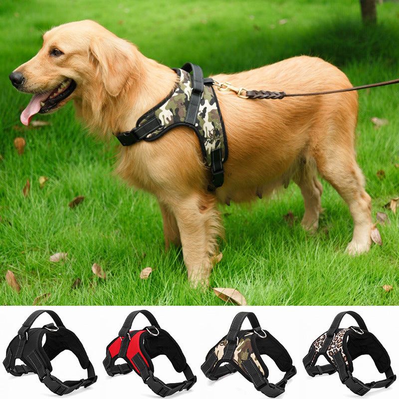 TailTag – Collar for Medium & Large Dogs