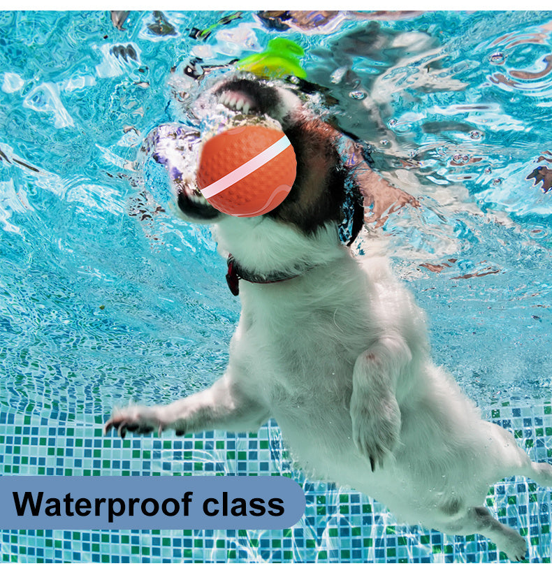 ZapBall – Electric Toy for Energetic Dogs