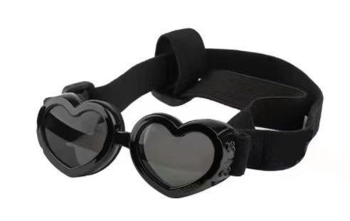 EyeGuard – Windproof Glasses for Pets