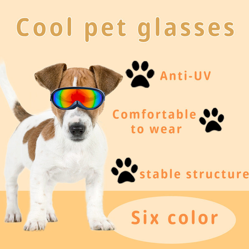 CoolWhiskers – Windproof Shades for Adventurous Dogs