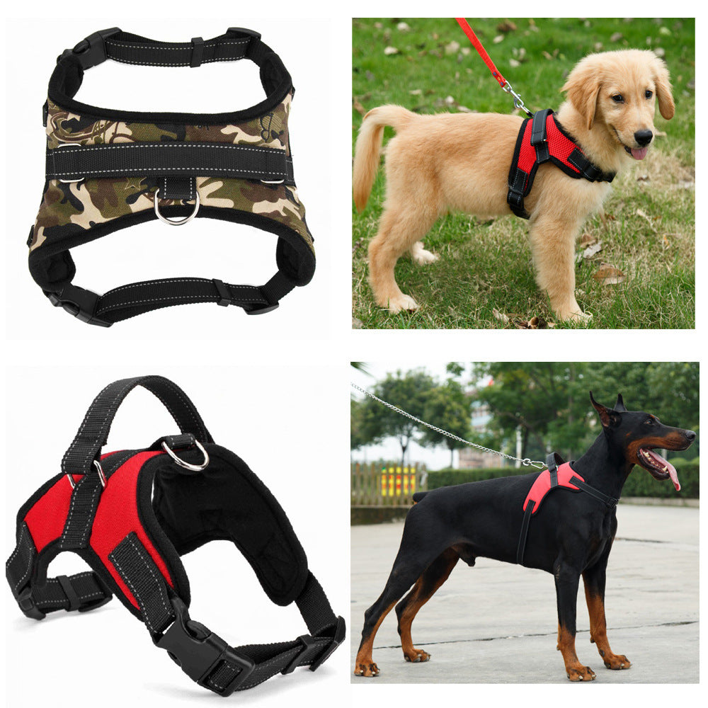TailTag – Collar for Medium & Large Dogs