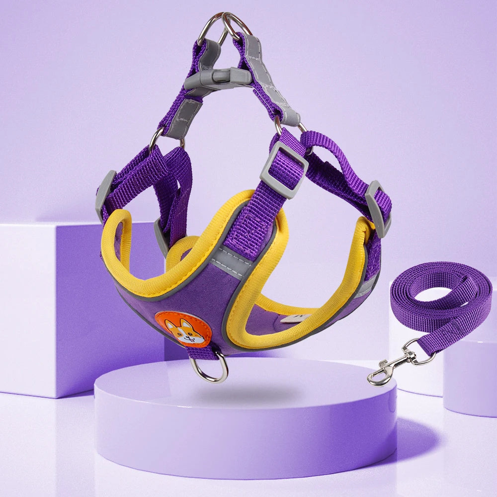 Pet Dog Harness And Leash