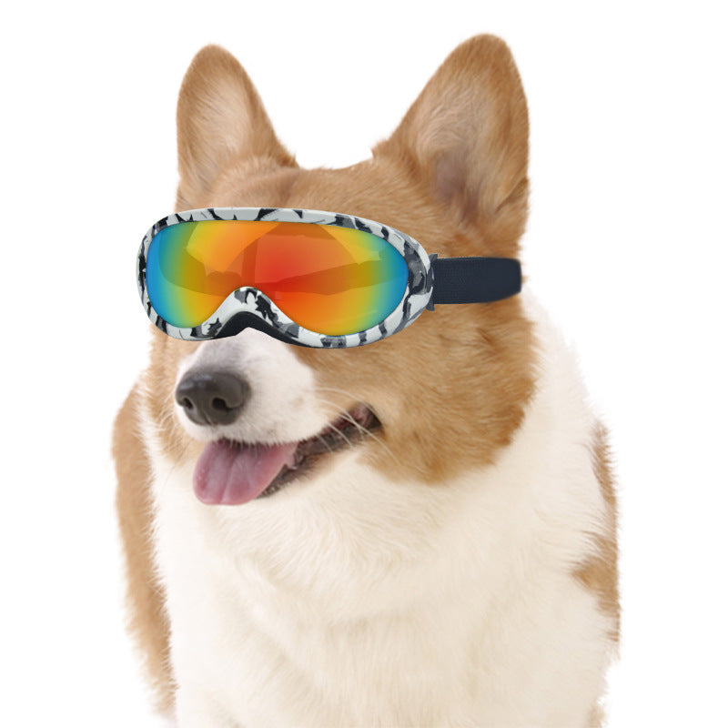 CoolWhiskers – Windproof Shades for Adventurous Dogs