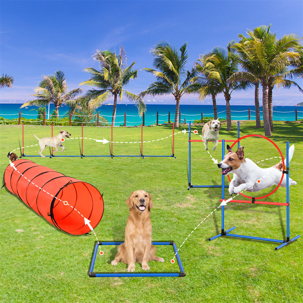 TrainPro – Full Training Set for Smart Dogs