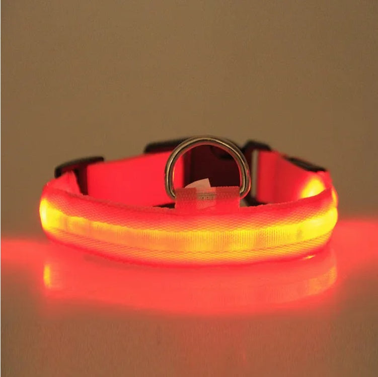GlowCollar – LED Light for Safe Night Walks