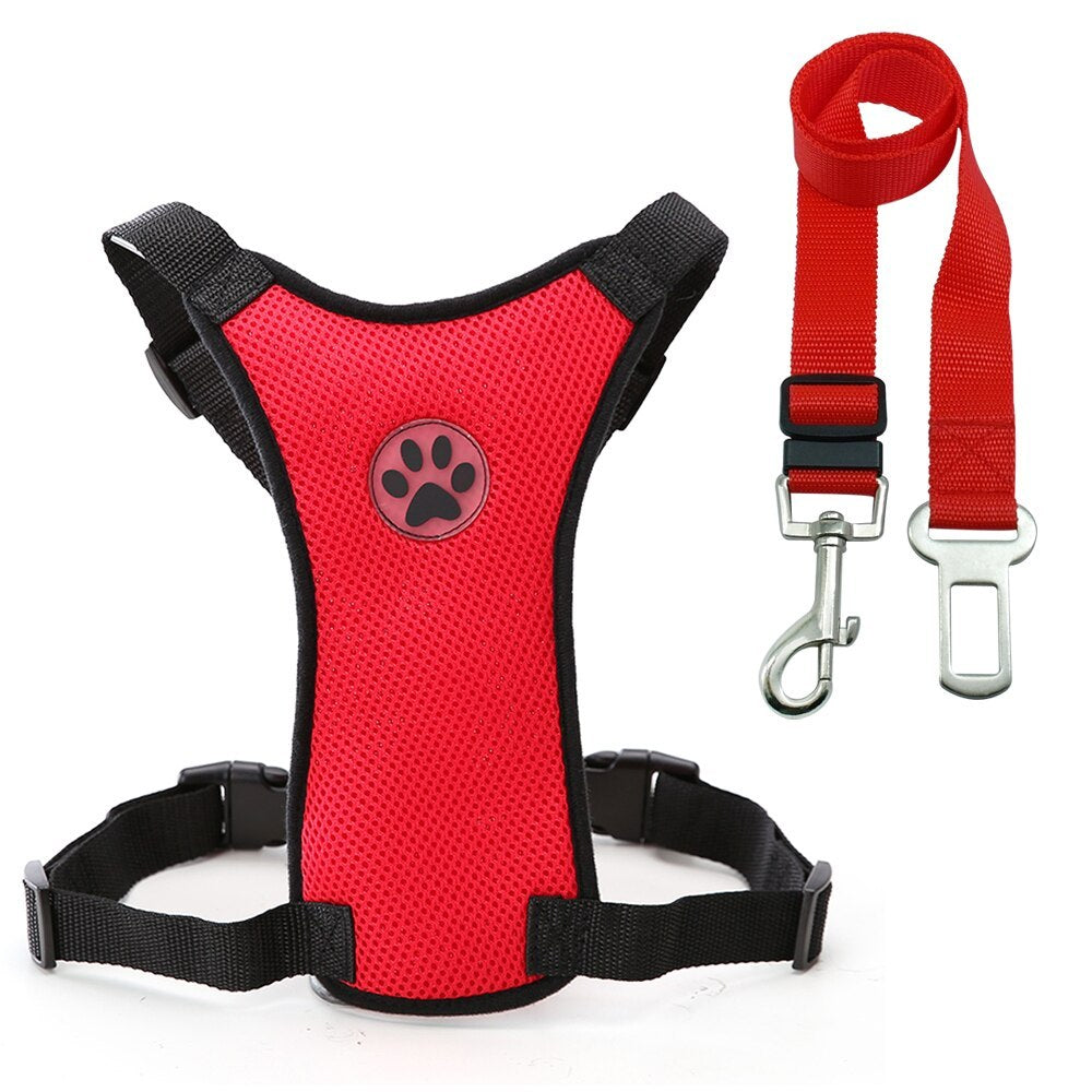 BreezeGuard – Mesh Harness for Safe Travels