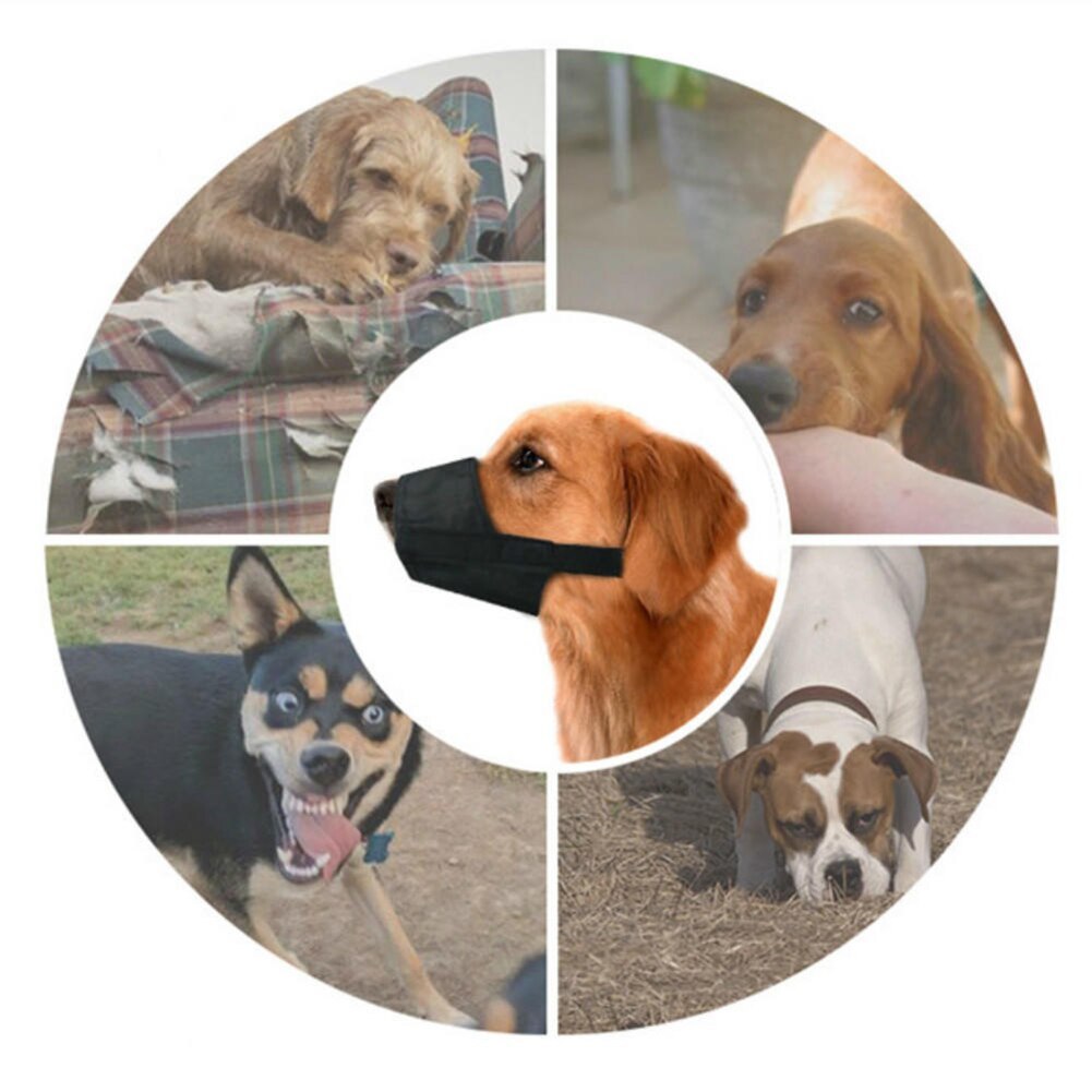 SnoutGuard – Comfy Muzzle for Calm Walks