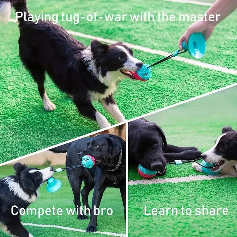 Tug & Treat
