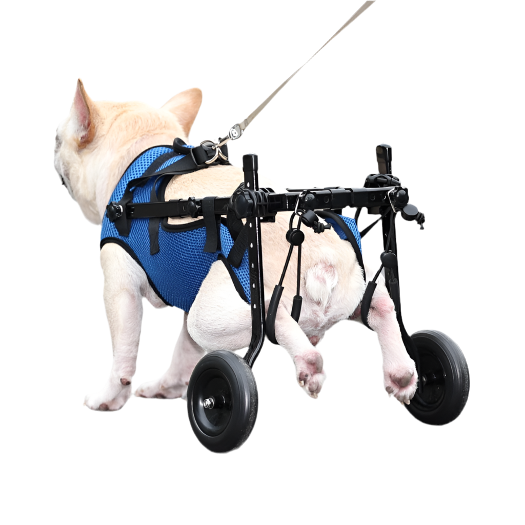 PawMobility – Pet Wheelchair Scooter for Easy Movement