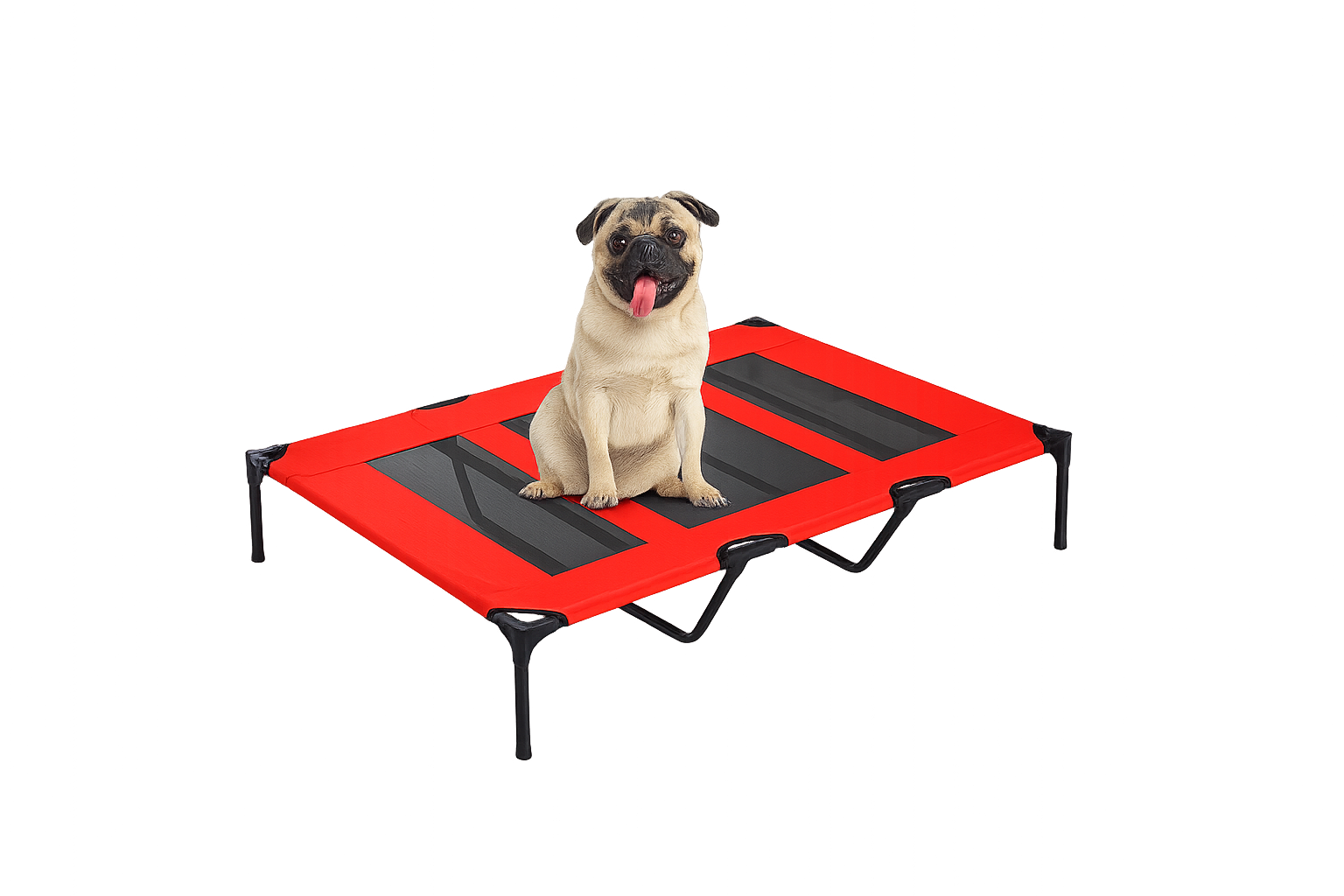 Cozy & Secure – Beds and Cages for Your Pets