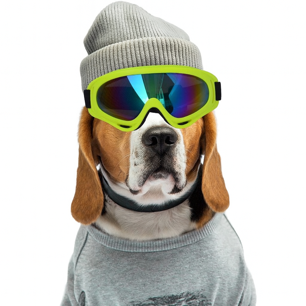 PupChic – Fashion Shades for Outdoor Fun