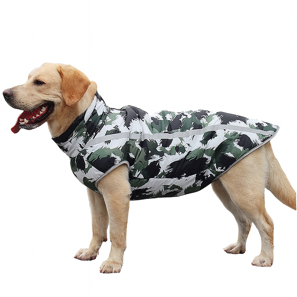WarmWoof – Comfy Clothes for Chilly Days