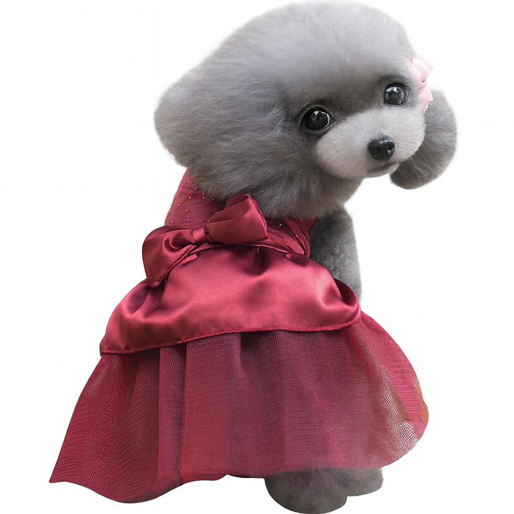 Dog wedding dress