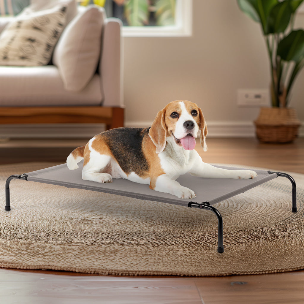 Nap Time – Comfy Beds for Happy Pets