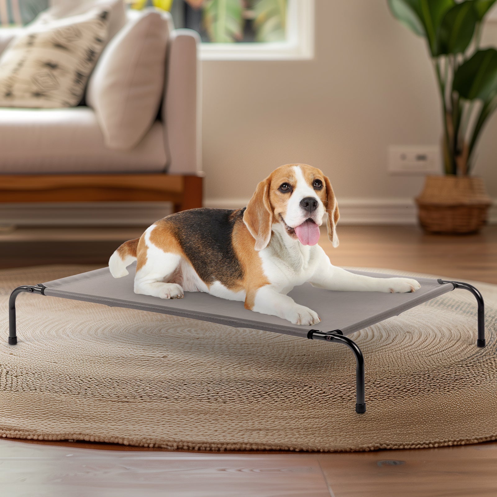 Nap Time – Comfy Beds for Happy Pets