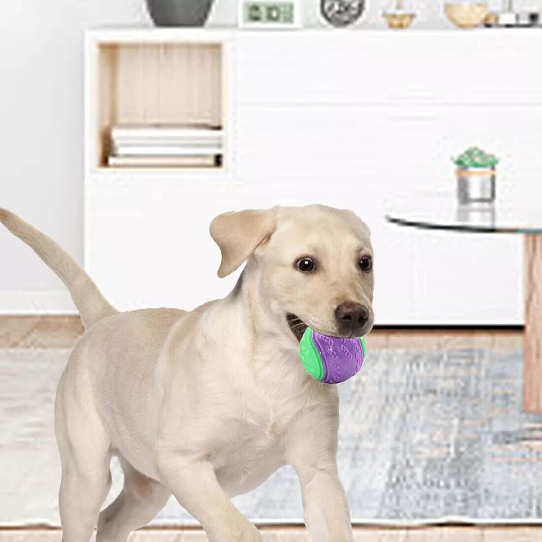 Scooby-Doo Squeaky Ball