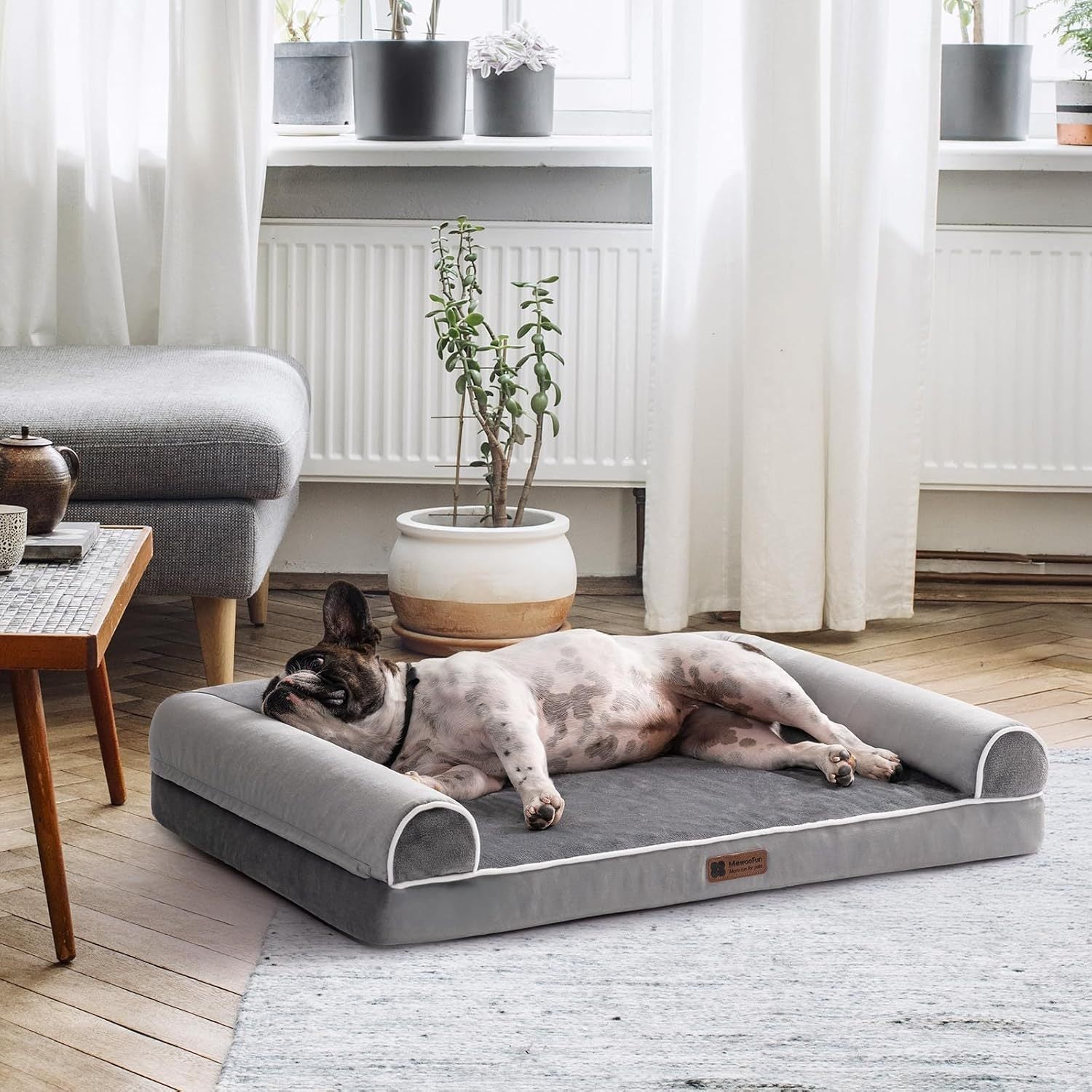 EggFoam Haven – Orthopedic Bed