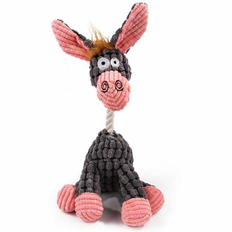 Franky the Donkey