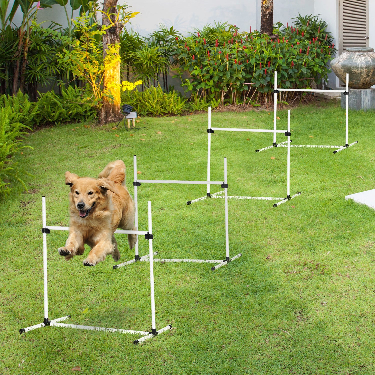 AgiliSet – 4-Piece Training Kit for Active Dogs