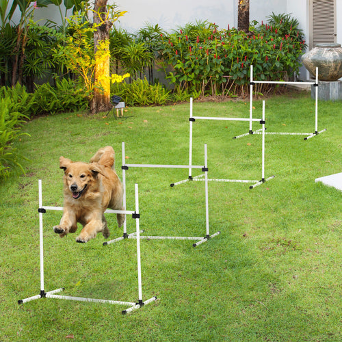 AgiliSet – 4-Piece Training Kit for Active Dogs