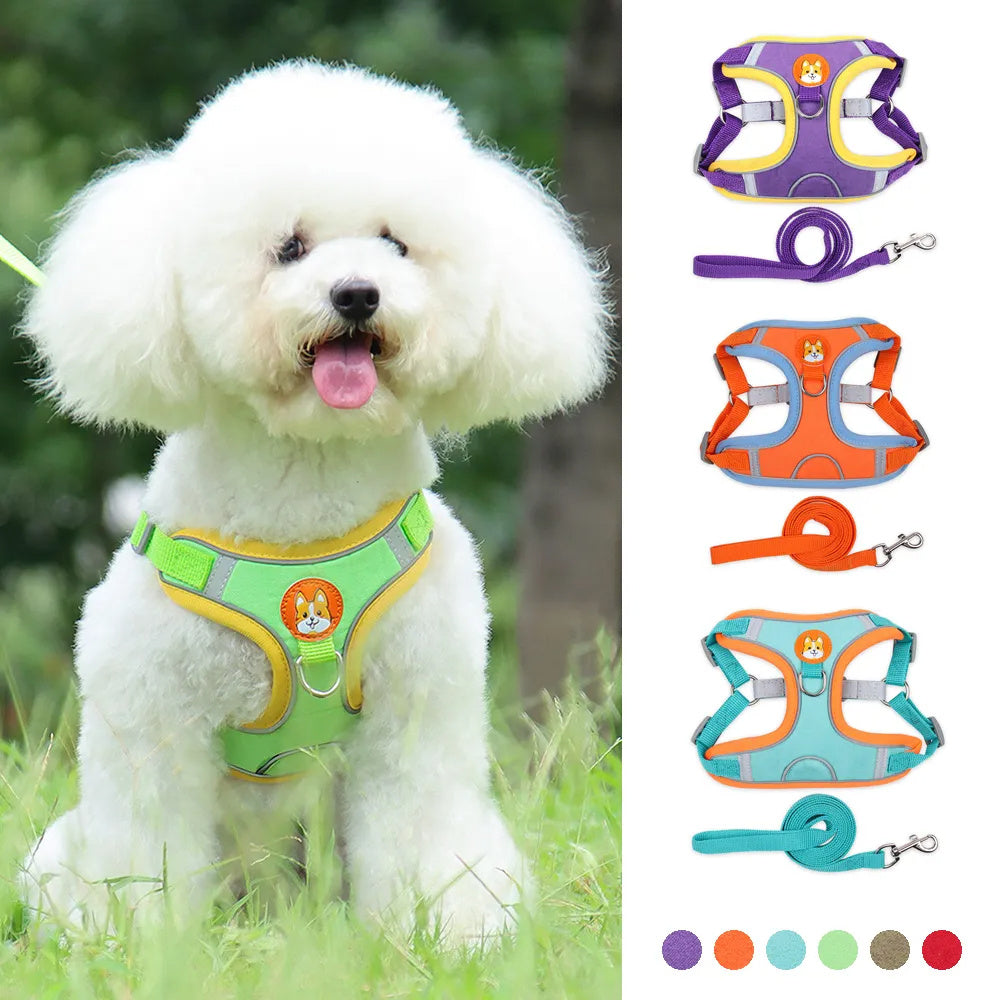 Pet Dog Harness And Leash