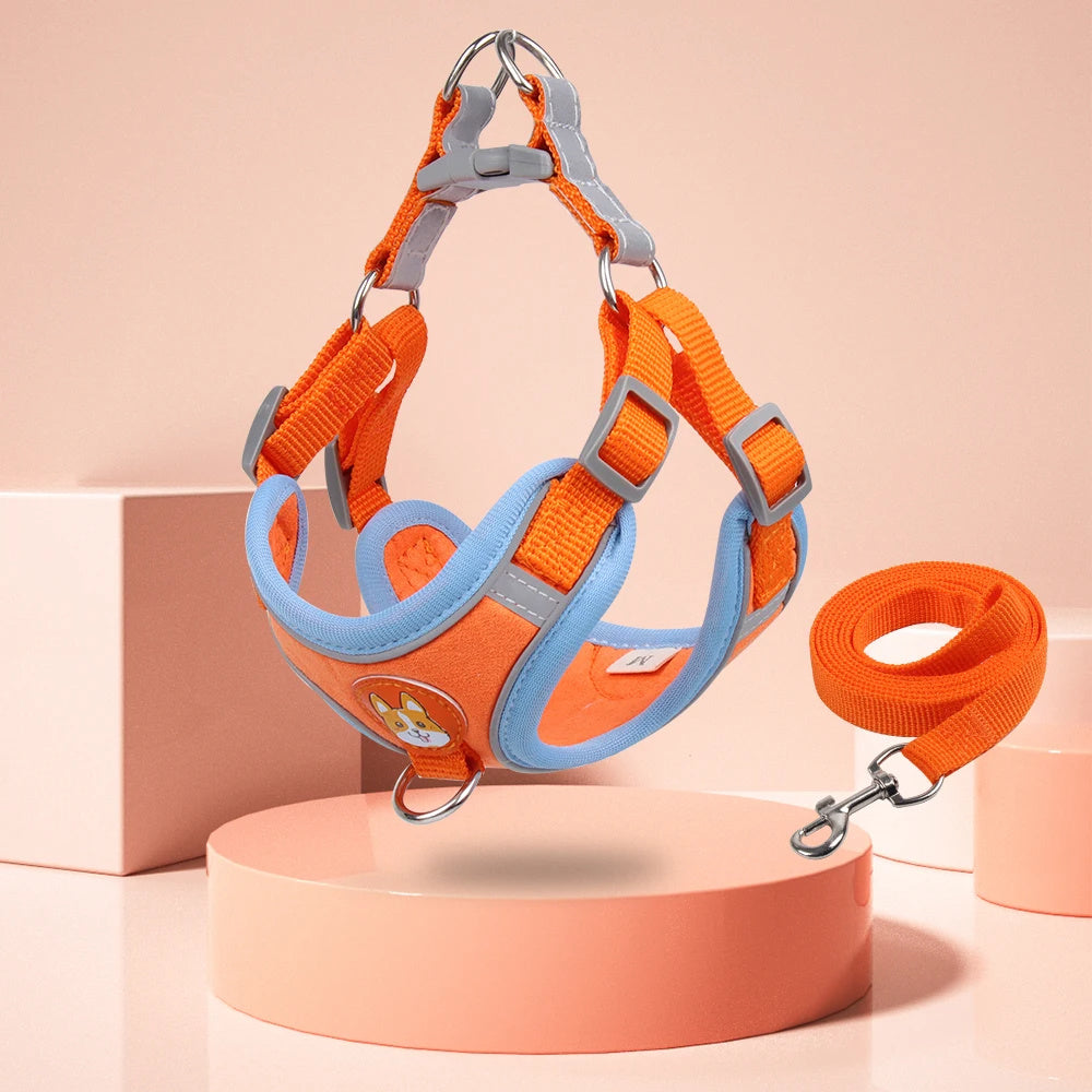 Pet Dog Harness And Leash