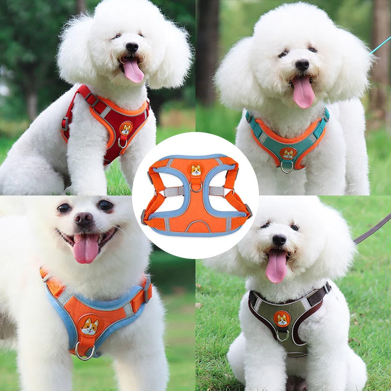 Pet Dog Harness And Leash