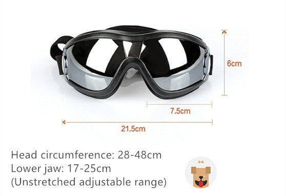 WindPaws – Stylish Sunglasses for Cool Pets